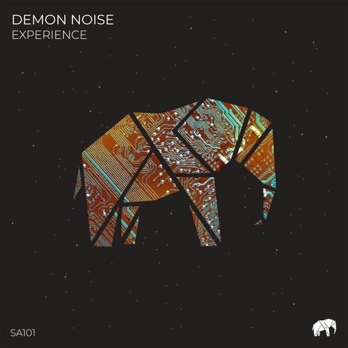 Demon Noise - Experience [SA101]